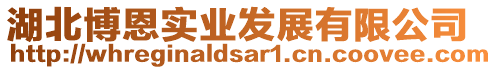 湖北博恩實(shí)業(yè)發(fā)展有限公司