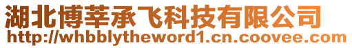 湖北博莘承飛科技有限公司