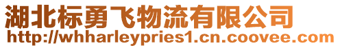 湖北標(biāo)勇飛物流有限公司