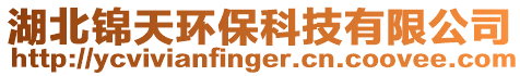 湖北錦天環(huán)保科技有限公司