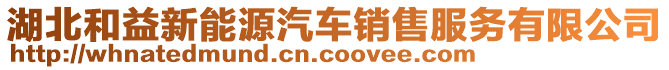 湖北和益新能源汽車銷售服務(wù)有限公司