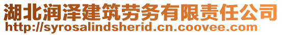 湖北潤澤建筑勞務有限責任公司