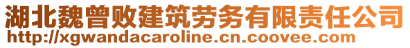 湖北魏曾敗建筑勞務有限責任公司