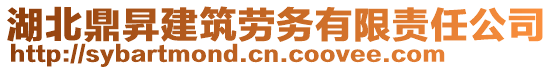 湖北鼎昇建筑勞務(wù)有限責(zé)任公司