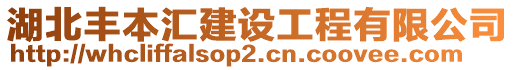 湖北豐本匯建設(shè)工程有限公司