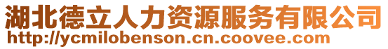 湖北德立人力資源服務有限公司