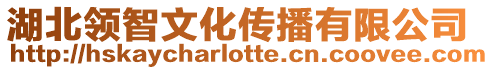 湖北領智文化傳播有限公司