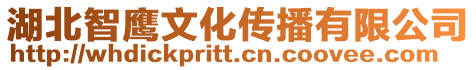 湖北智鷹文化傳播有限公司
