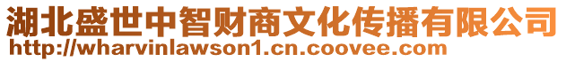 湖北盛世中智財(cái)商文化傳播有限公司