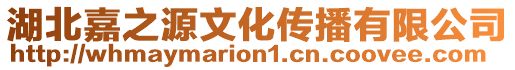 湖北嘉之源文化傳播有限公司