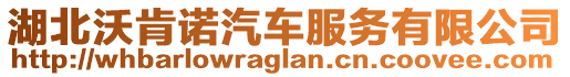 湖北沃肯諾汽車服務(wù)有限公司