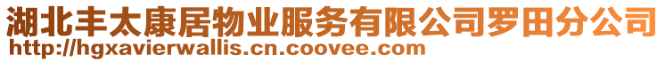 湖北豐太康居物業服務有限公司羅田分公司