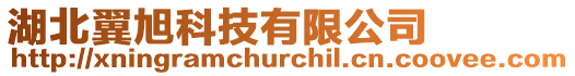 湖北翼旭科技有限公司