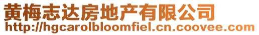 黃梅志達房地產有限公司