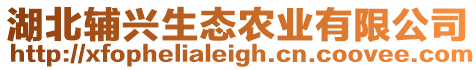 湖北輔興生態(tài)農(nóng)業(yè)有限公司