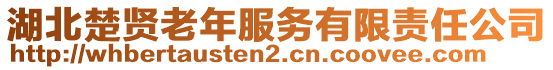 湖北楚賢老年服務有限責任公司