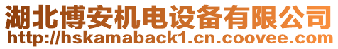 湖北博安機電設備有限公司