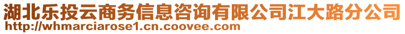 湖北樂投云商務(wù)信息咨詢有限公司江大路分公司