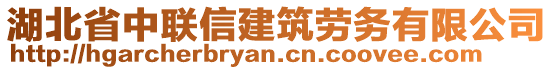 湖北省中聯(lián)信建筑勞務有限公司