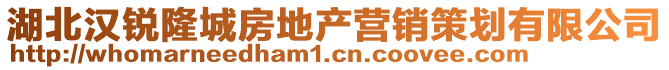 湖北汉锐隆城房地产营销策划有限公司