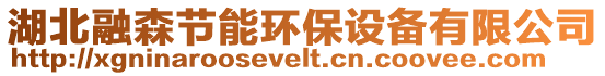 湖北融森節(jié)能環(huán)保設(shè)備有限公司