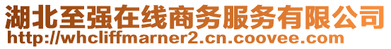 湖北至強(qiáng)在線商務(wù)服務(wù)有限公司