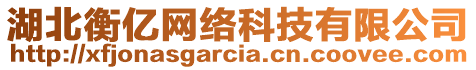 湖北衡億網(wǎng)絡(luò)科技有限公司