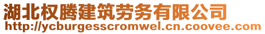 湖北權(quán)騰建筑勞務(wù)有限公司