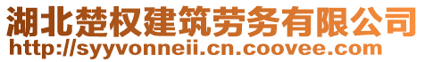 湖北楚權(quán)建筑勞務(wù)有限公司