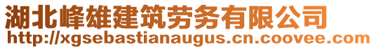 湖北峰雄建筑勞務(wù)有限公司