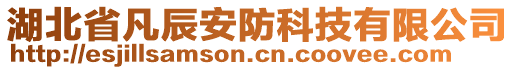 湖北省凡辰安防科技有限公司