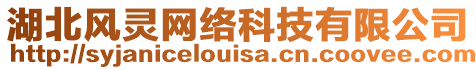 湖北風(fēng)靈網(wǎng)絡(luò)科技有限公司