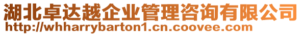 湖北卓達(dá)越企業(yè)管理咨詢(xún)有限公司