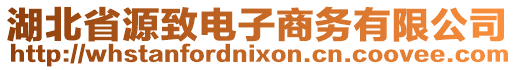 湖北省源致電子商務有限公司