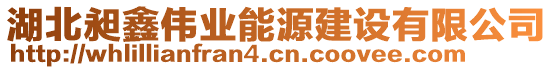 湖北昶鑫偉業(yè)能源建設有限公司