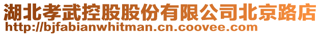 湖北孝武控股股份有限公司北京路店