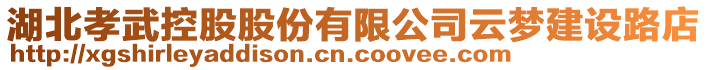 湖北孝武控股股份有限公司云夢建設(shè)路店