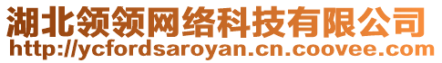 湖北領(lǐng)領(lǐng)網(wǎng)絡(luò)科技有限公司