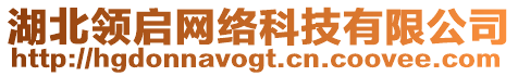 湖北領(lǐng)啟網(wǎng)絡(luò)科技有限公司