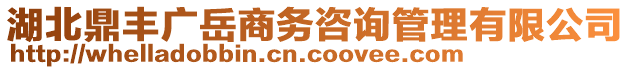 湖北鼎豐廣岳商務(wù)咨詢管理有限公司