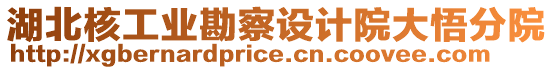 湖北核工業(yè)勘察設(shè)計(jì)院大悟分院