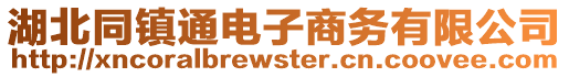 湖北同鎮(zhèn)通電子商務(wù)有限公司