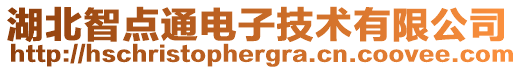 湖北智點通電子技術有限公司