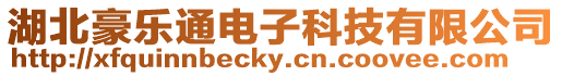 湖北豪樂通電子科技有限公司