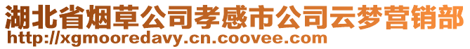 湖北省煙草公司孝感市公司云夢營銷部