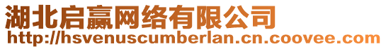 湖北啟贏網(wǎng)絡(luò)有限公司