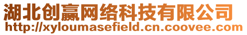 湖北創贏網絡科技有限公司