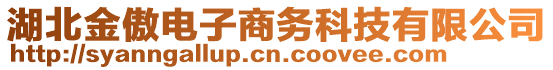 湖北金傲电子商务科技有限公司