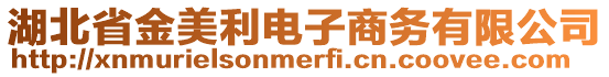 湖北省金美利電子商務(wù)有限公司