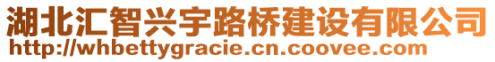 湖北汇智兴宇路桥建设有限公司